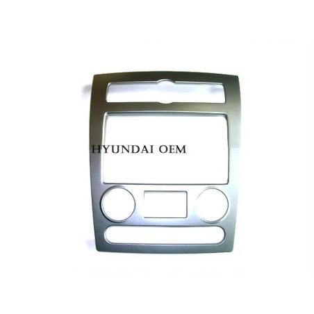Center Fascia with LCD Display
