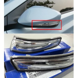 Side Mirror Repeaters