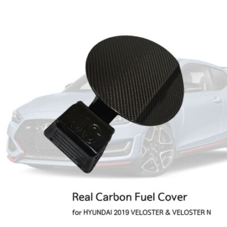 Carbon Fiber N Fuel Door