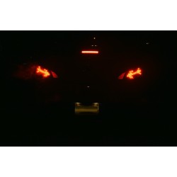 Spyder Auto LED Taillights (Black)