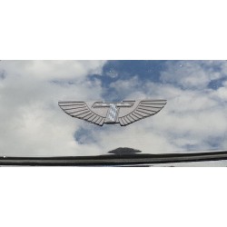 T Wing Badges