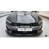 M&S DL3 FL Carbon Fiber splitter kit