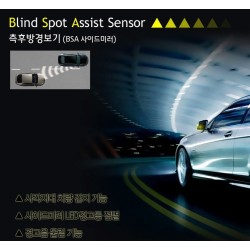 Blind Spot Assist System 