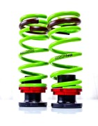 Coilovers/Springs
